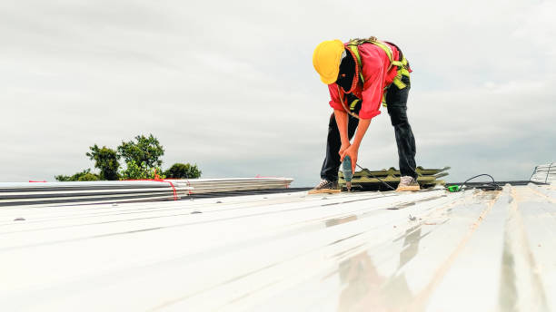 Best Roof Maintenance and Cleaning  in Sea Breeze, NC